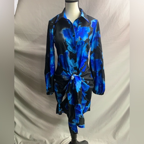 Blue Blossom-Patterned Lantern Sleeve Shirt Dress with Front Tie - Picture 5 of 6
